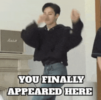 Happy Stray Kids GIF