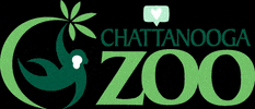 Chattanooga Zoo GIF