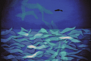 Flow GIF