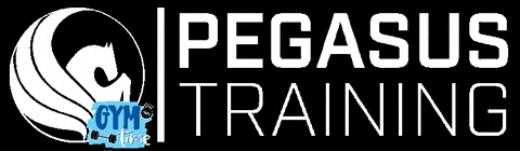 Pegasus Training GIF