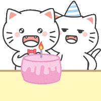 Cat Love GIF by Kiki