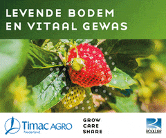 Aardbei GIF