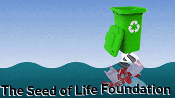 Happy Water GIF by The Seed of Life Foundation