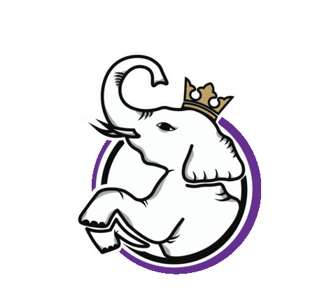 Elefante Animal Animated GIF logo designs