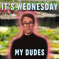 Wednesday Hump Day GIF by GIPHY Studios Originals