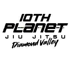 10th Planet Diamond Valley Sticker