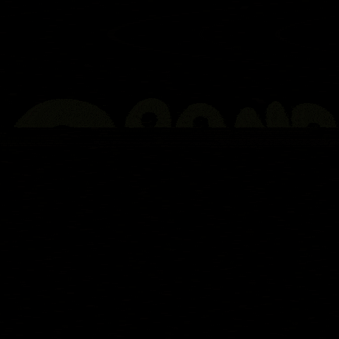 BrandBurp GIF