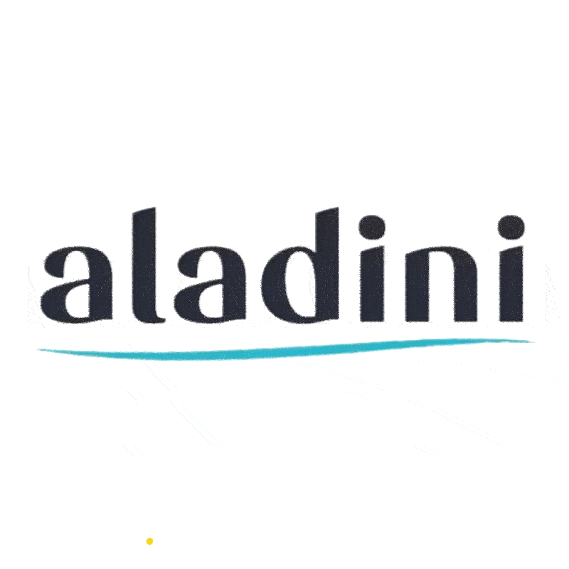 Shopping Online Shop Sticker by Aladini