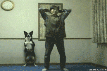giphy.gif?cid=4d1e4f29f5a5fa6b69b9309ee154baff2be880443e278360&rid=giphy.gif