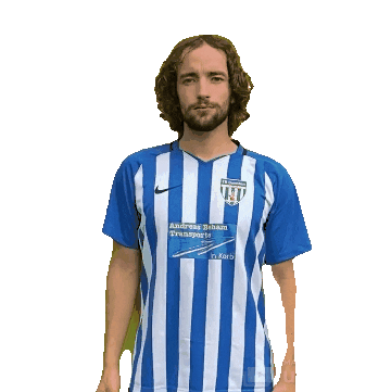 DMZWeinstadt Sticker