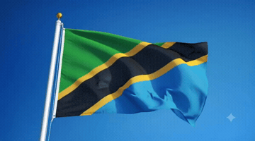 Tanzania GIF