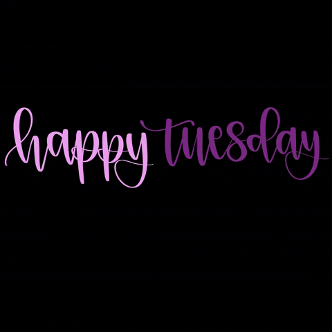 Text gif. In bubblegum pink and plum purple calligraphy, text reads, "happy Tuesday" against a black background.