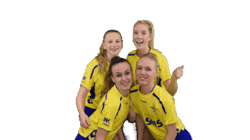 CKCKinderdijk Sticker