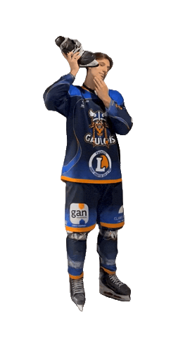 Celebration Goal Sticker by Hockey Club Châlonnais