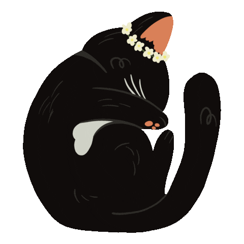 Cat Illustration Sticker