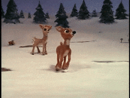 Stop-motion gif. A young Rudolph the Red-Nosed Reindeer excitedly hops and flies and lands in front of Coach Comet, from the 1964 Christmas special.