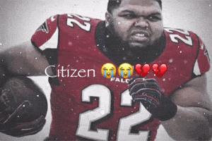 Son Falcons GIF