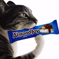 Almondjoy GIF