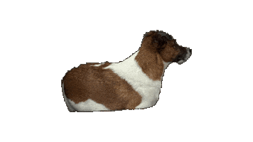 Dog Truffle Sticker
