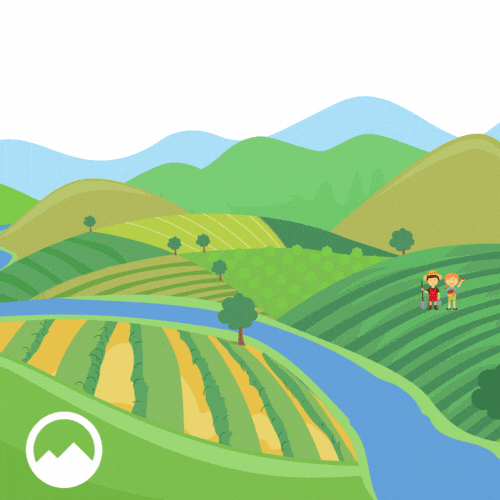 Farmsunrise GIFs Find & Share on GIPHY