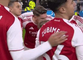 Arsenal GIF by memes