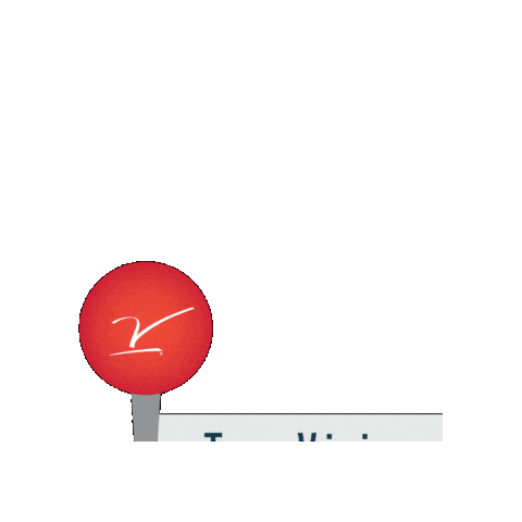 Berlin Marathon Teamv Sticker by V Foundation