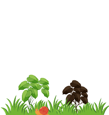 Capinaeletrica Sticker by Zasso Group