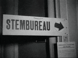 Vote Voting GIF by Beeld en Geluid