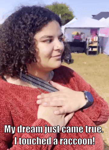 I Touched A Raccoon GIF