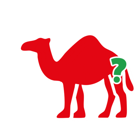 Fun Cooking Sticker by What's in Z Box