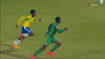 sportlifebet  GIF