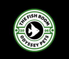 Thefishroomatodysseypets GIF by Odyssey Pets