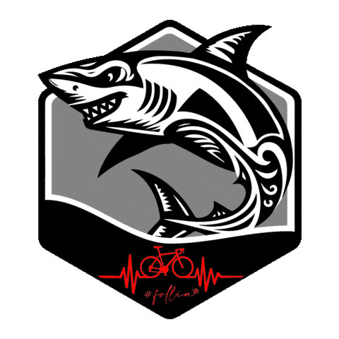 Folliasqualo Sticker by ASD Vibrata Bike