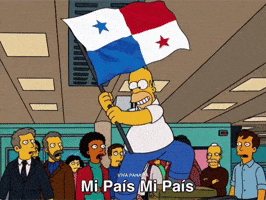Panama Fifaworldcup GIF