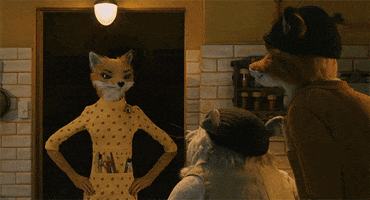 Angry Wes Anderson GIF