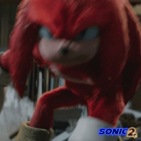 Paramount Pictures Knuckles GIF by Sonic The Hedgehog