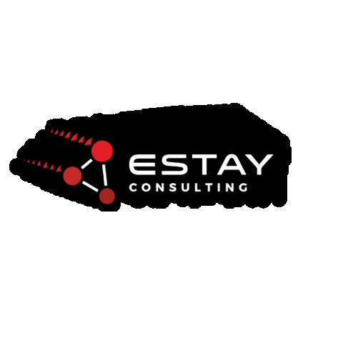 Trending Proyecto Sticker by Estay Consulting