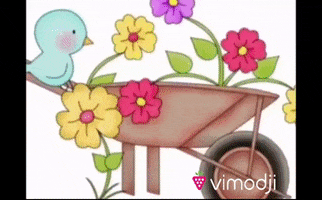 First Of May Hello GIF by Vimodji