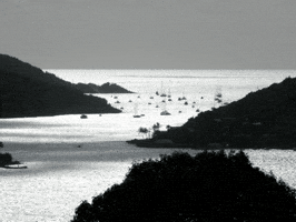 Dr Michael Piepkorn GIF