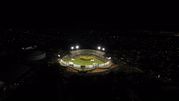 Daleplayball Leonesdeyucatan GIF