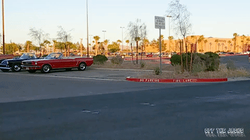 Ford GIF by Off The Jacks