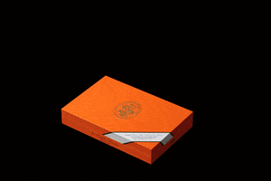 The Revolution Smoke GIF by Casa 1910