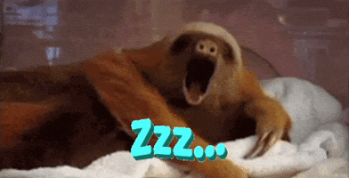 Sleepy Sloth GIF by Justin