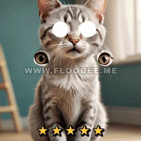 Cats GIF