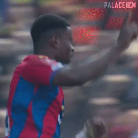 Premier League Yes GIF by CPFC