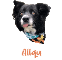 Happy Dog Sticker