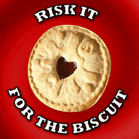 Biscuit Take A Chance GIF