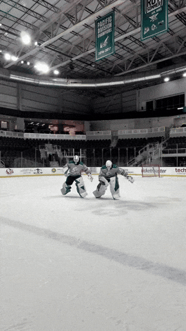 Sliding San Jose GIF by San Jose Barracuda
