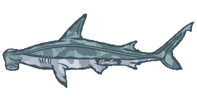 Flomotion Sticker