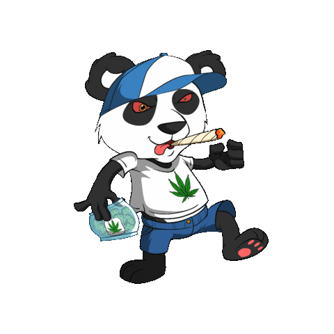 Vegas Panda's Club Sticker